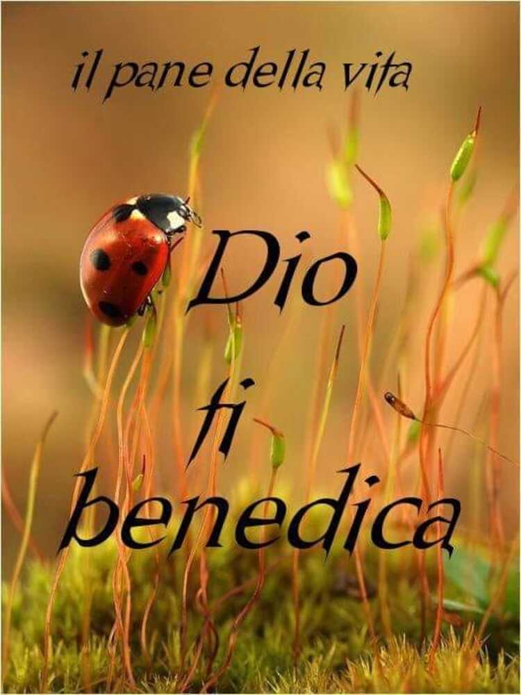 Dio ti benedica