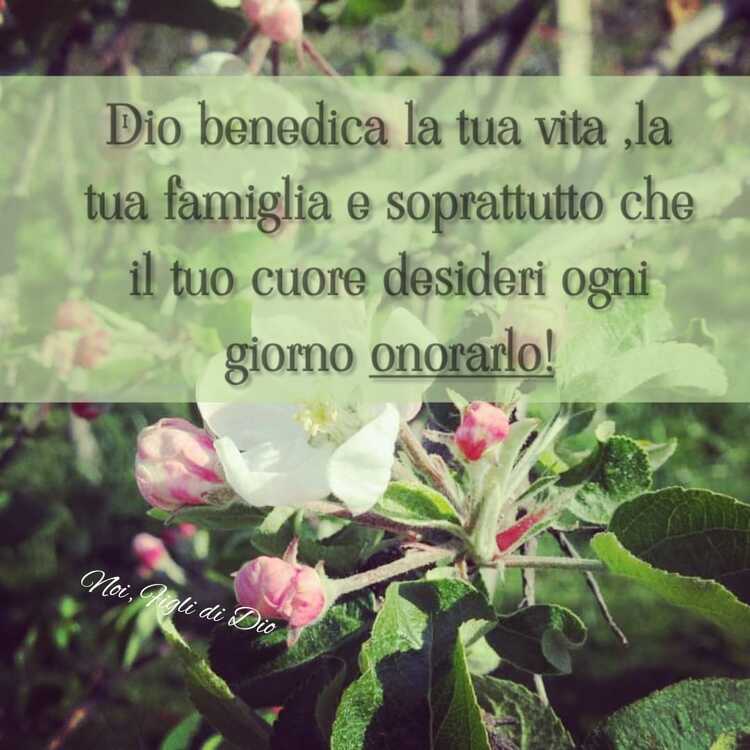 Dio benedica la tua vita, la tua famiglia e soprattutto che il tuo cuore desideri ogni giorno onorarlo!