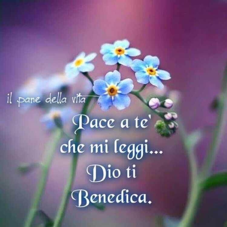 Pace a te che mi leggi... Dio ti benedica.