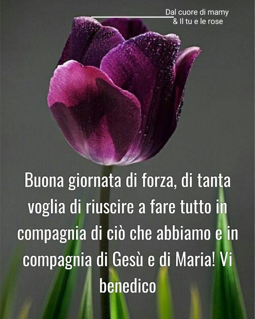 Buona Giornata di forza, di tanta voglia di riuscire a fare tutto in compagnia di ciò che abbiamo e in compagnia di Gesù e Maria! Vi benedico