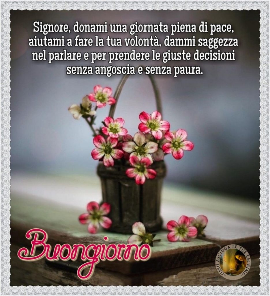 Signore, donami una giornata piena di pace. Aiutami a fare la Tua volontà, dammi saggezza nel parlare e per prendere le giuste decisioni senza angoscia e senza paura. Buongiorno