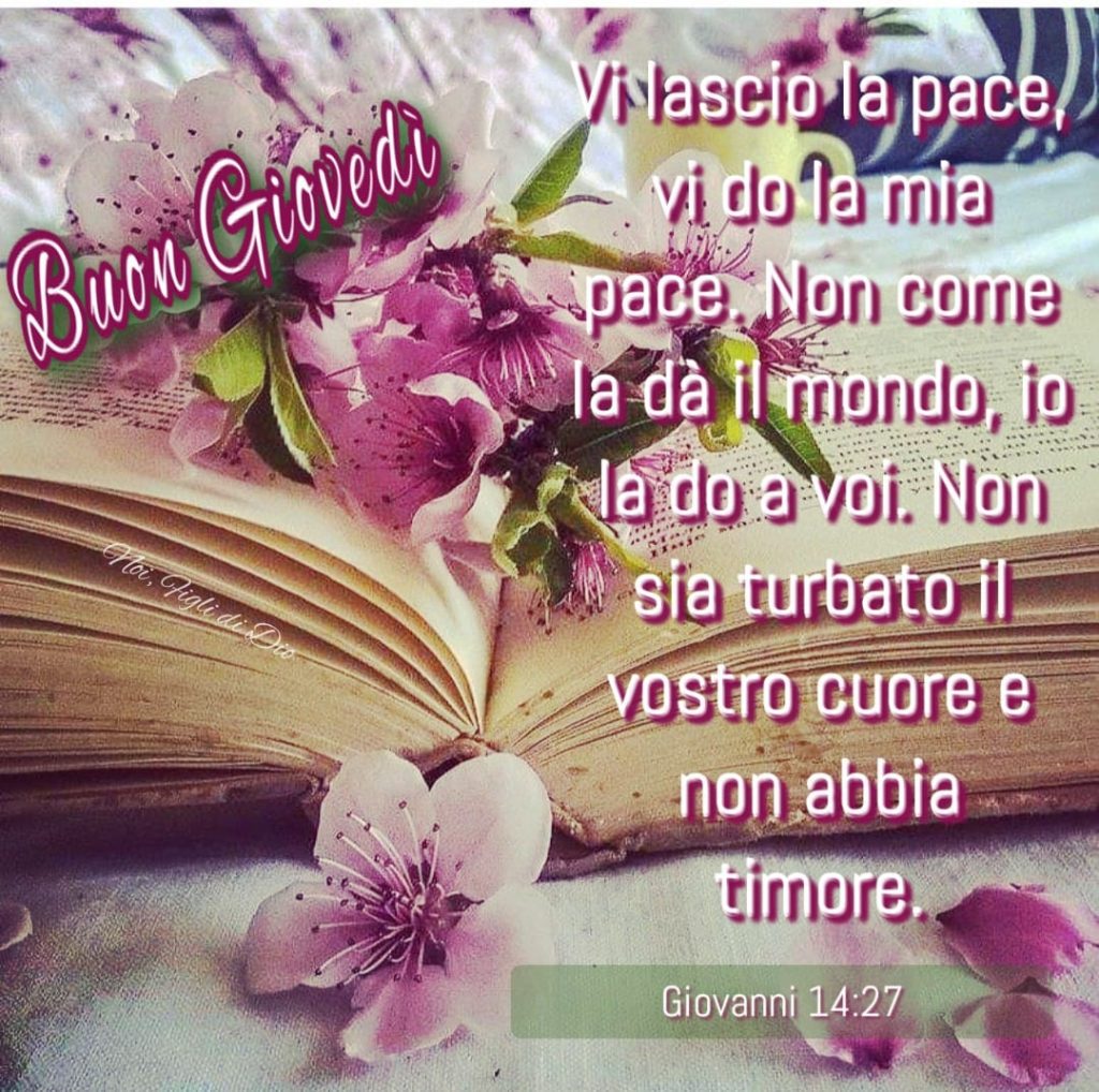 Buon Giovedì. "Vi lascio la pace, vi dò la mia pace. Non come la dà il mondo, io la dò a voi. Non sia turbato il vostro cuore e non abbia timore." (Giovanni 14:27)