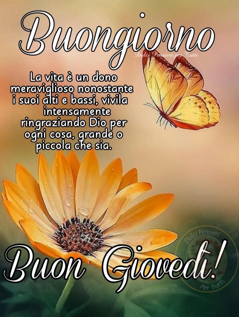 Buongiorno. La vita è un dono meraviglioso nonostante i suoi alti e bassi, vivila intensamente ringraziando Dio per ogni cosa, grande o piccola che sia. Buon Giovedì!