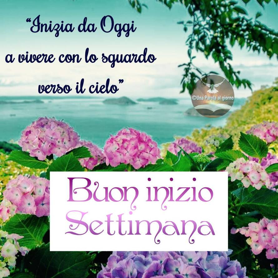 Inizia da oggi a vivere con lo sguardo verso il cielo. Buon Inizio Settimana