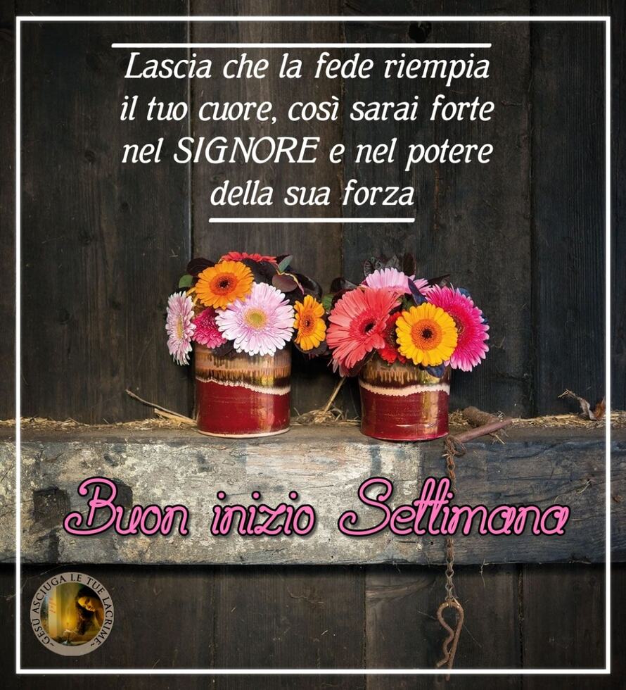 Lascia che la fede riempia il tuo cuore, così sarai forte nel SIGNORE e nel potere della sua forza. Buon inizio settimana