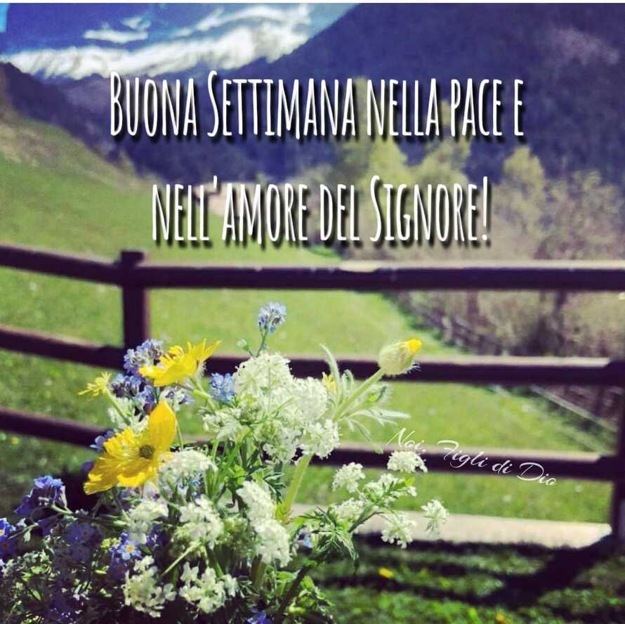 BUONA SETTIMANA NELLA PACE E NELL'AMORE DEL SIGNORE!