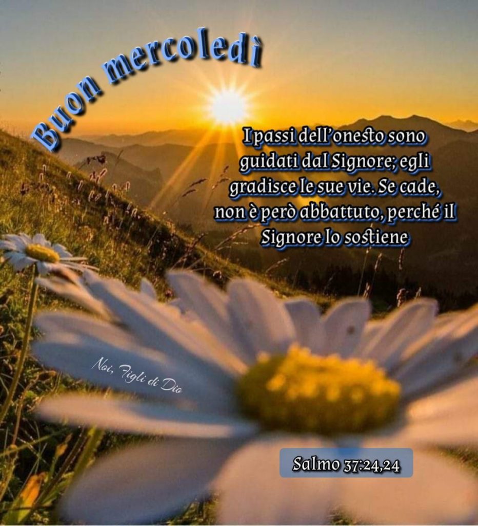 Buon mercoledì. "I passi dell'onesto sono guidati dal Signore; egli gradisce le sue vie. Se cade non è però abbattuto, perché il Signore lo sostiene." (Salmo 37:24,24)