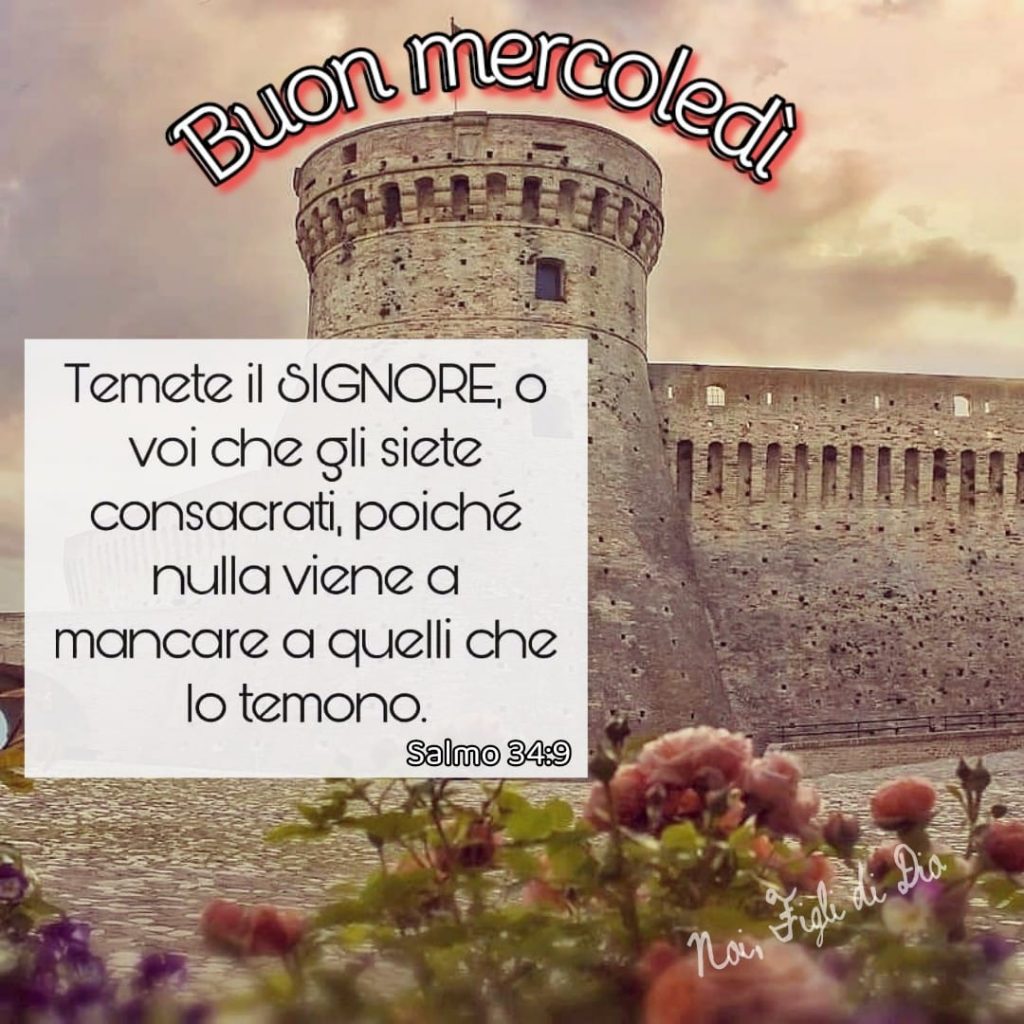 Buon Mercoledì. "Temete il Signore, o voi che siete consacrati, poiché nulla viene a mancare a quelli che lo temono." (Salmo 34:9)