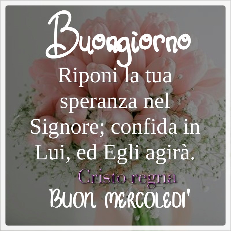 Buongiorno. Riponi la tua speranza nel Signore; confida il Lui, ed Egli agirà. Buon Mercoledì