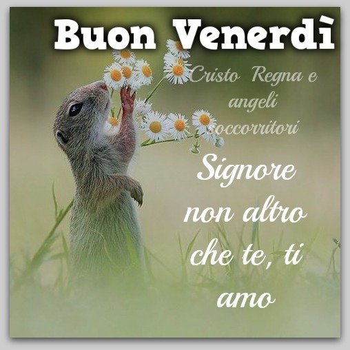 Buon Venerdì. Signore non altro che te, ti amo