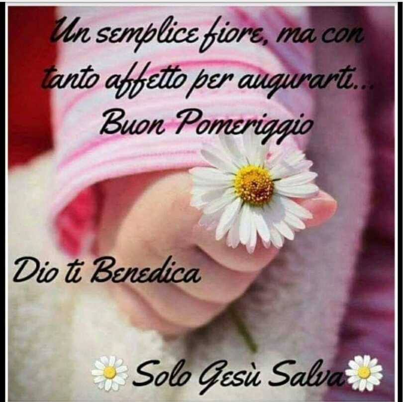 Un semplice fiore, ma con tanto affetto per augurarti... Buon Pomeriggio, Dio ti benedica