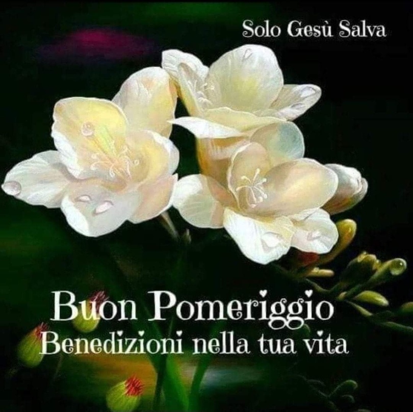 Buon Pomeriggio. Benedizioni nella tua Vita