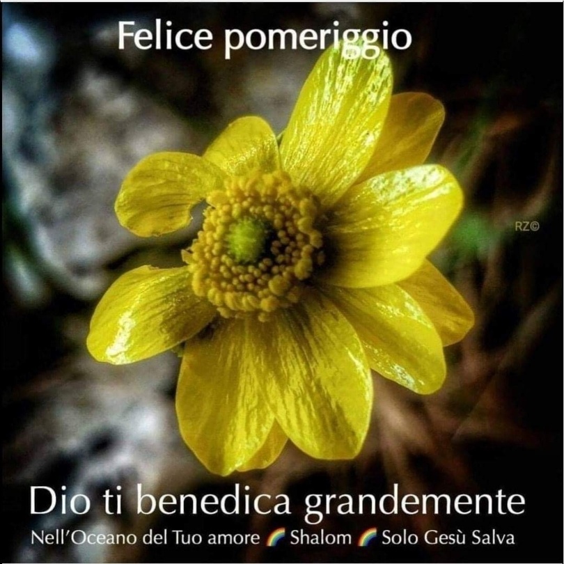Felice pomeriggio. Dio ti benedica grandemente (Shalom - Solo Gesù Salva)