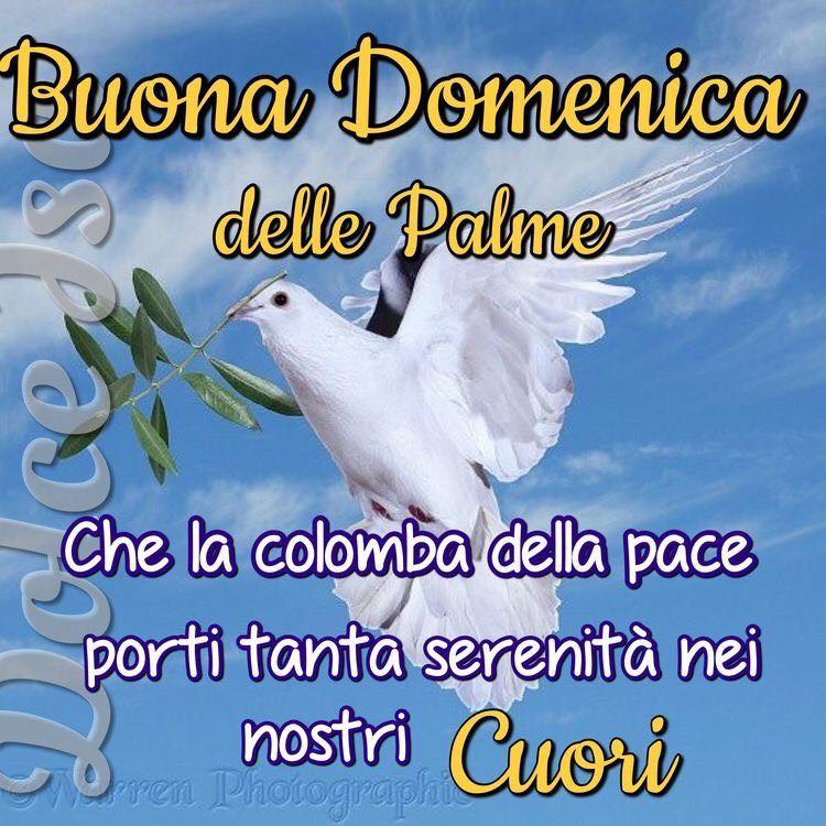 Buona Domenica delle Palme. Che la colomba della pace porti tanta serenità nei nostri cuori. (Dolce Isa)