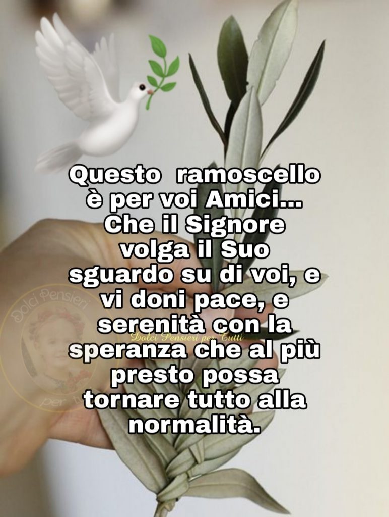 Questo ramoscello è per voi amici... Che il Signore volga il Suo sguardo su di voi, e vi doni la pace, e serenità con la speranza che al più presto possa tornare tutto alla normalità.