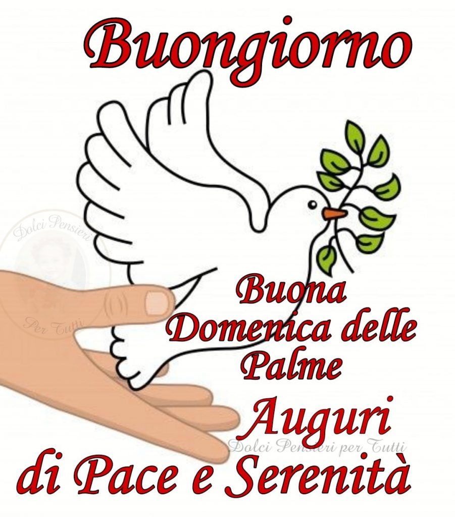 Buongiorno e Buona Domenica delle Palme. Auguri di pace e serenità