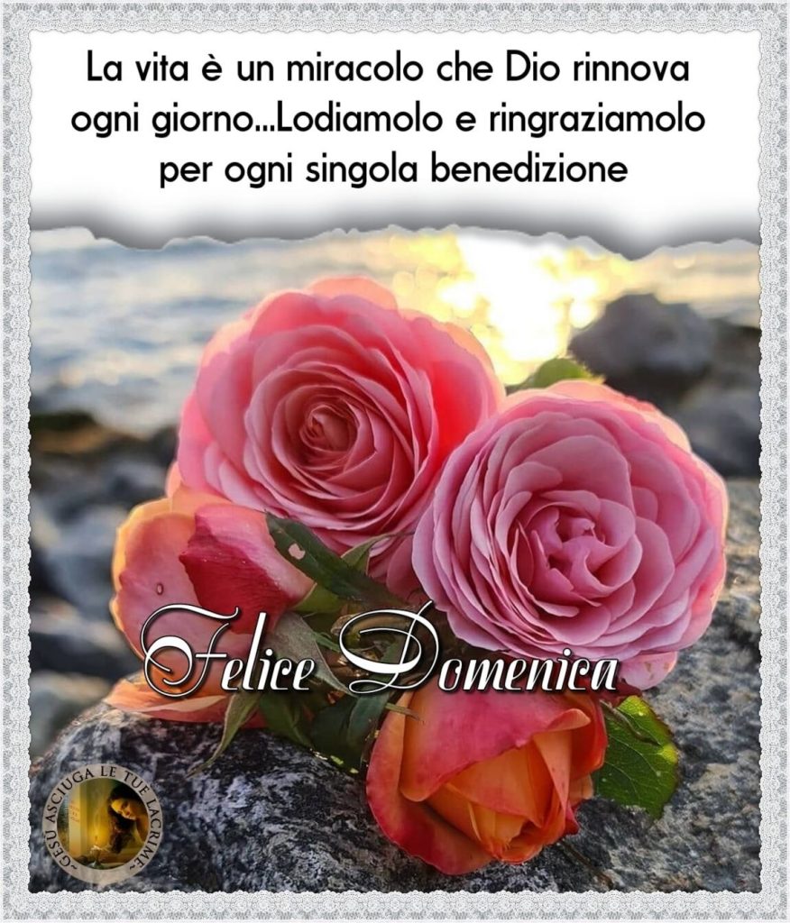 La vita è un miracolo che Dio rinnova ogni giorno... Lodiamolo e ringraziamolo per ogni singola benedizione. Felice Domenica