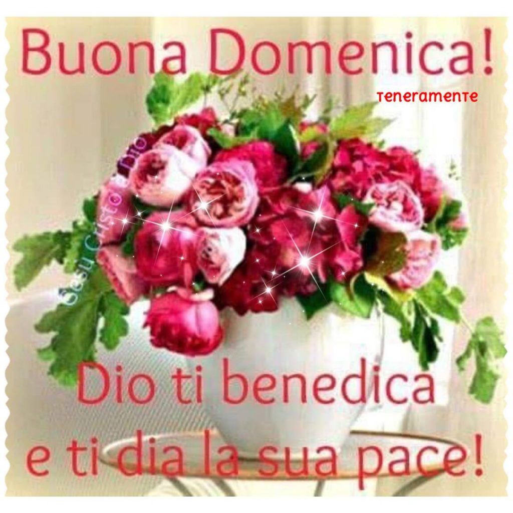 Buona Domenica! Dio ti benedica e ti dia la sua pace!