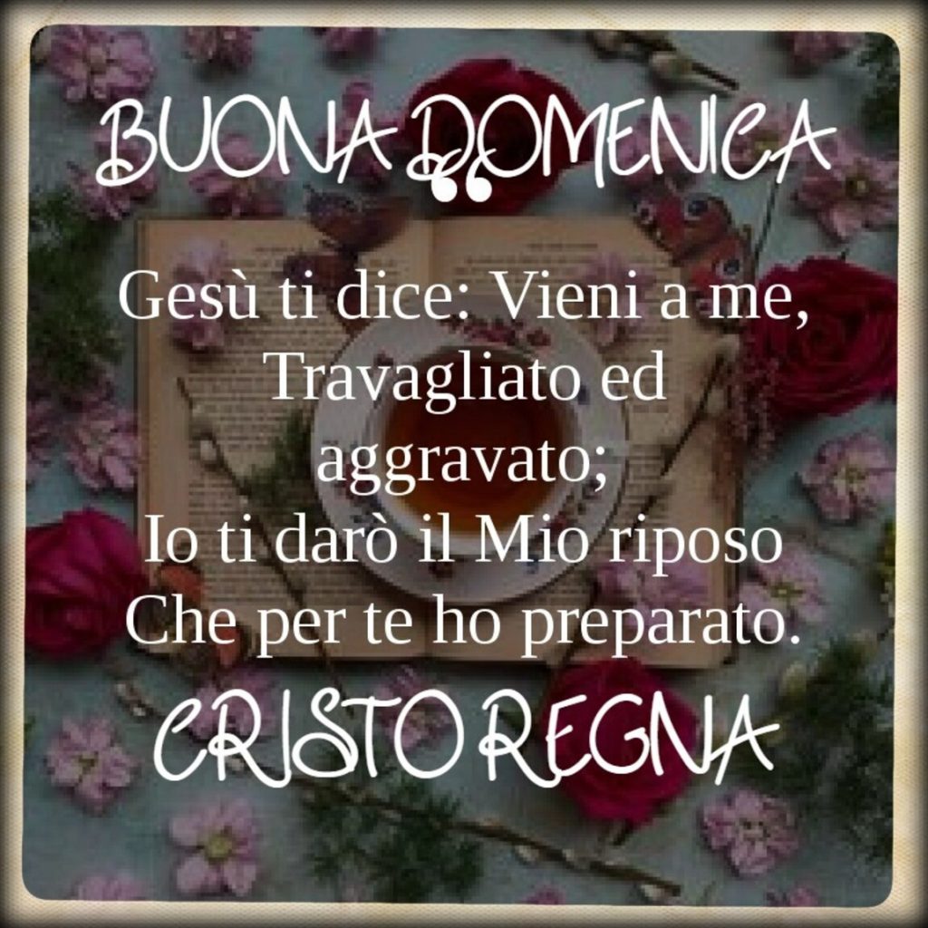 Buona Domenica. Gesù ti dice: Vieni a me, travagliato ed aggravato; io ti darò il mio riposo, che per te ho preparato.