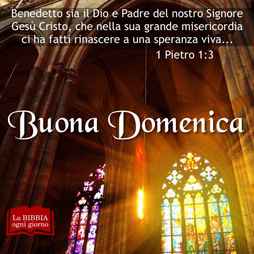 Buona Domenica. "Benedetto sia il Dio e Padre del nostro Signore Gesù Cristo, che nella sua grande misericordia ci ha fatti rinascere a una speranza viva..." (1 Pietro 1:3)