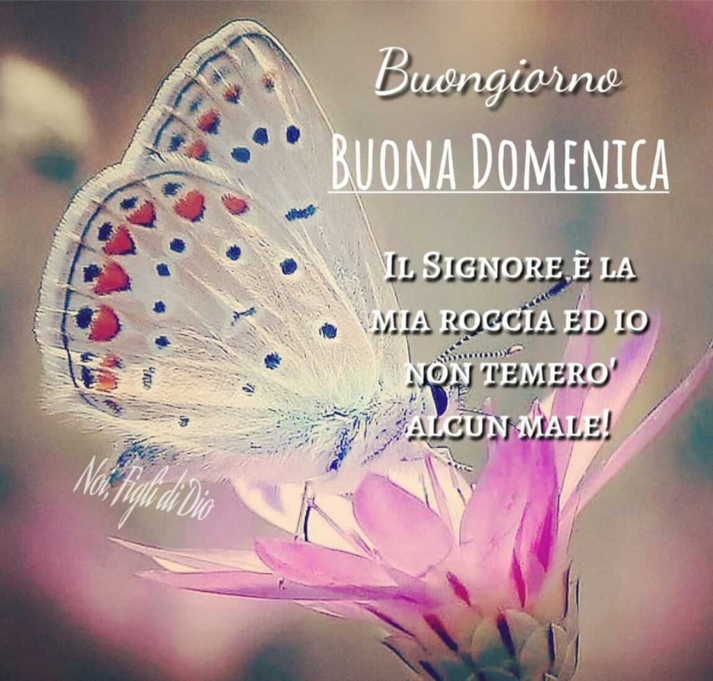Buongiorno BUONA DOMENICA. Il Signore è la mia roccia ed io non temerò alcun male!