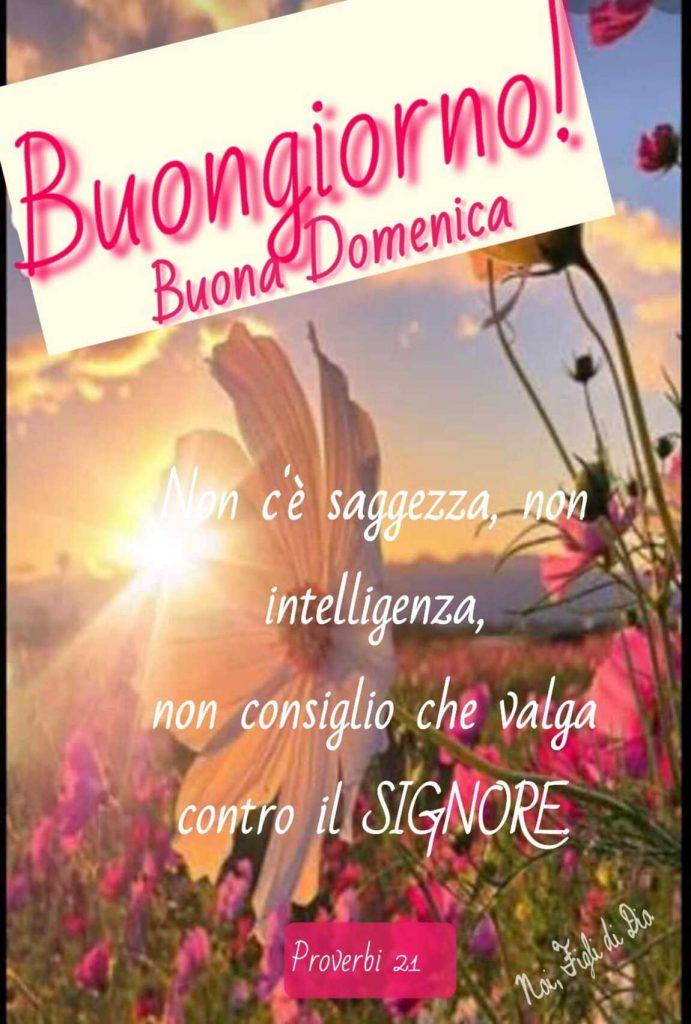 Buongiorno! Buona Domenica. Non c'è saggezza, non intelligenza, non consiglio che valga contro il Signore.