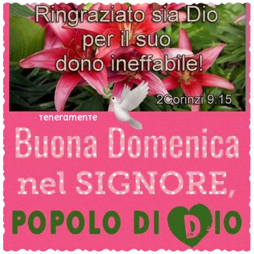 "Ringraziato sia Dio per il suo dono ineffabile!" (2Corinzi 9:15) Buona Domenica nel Signore, popolo di Dio
