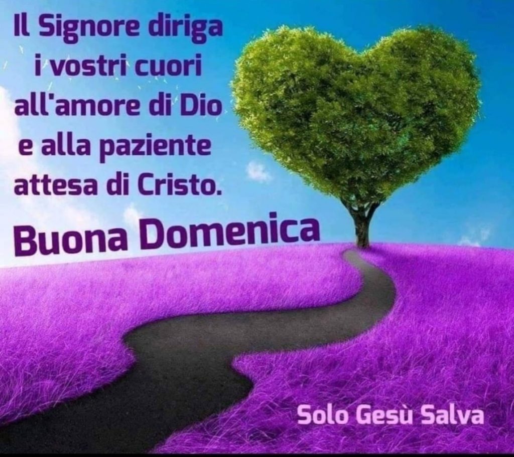 Il Signore diriga i vostri cuori all'amore di Dio e alla paziente attesa di Cristo. Buona Domenica