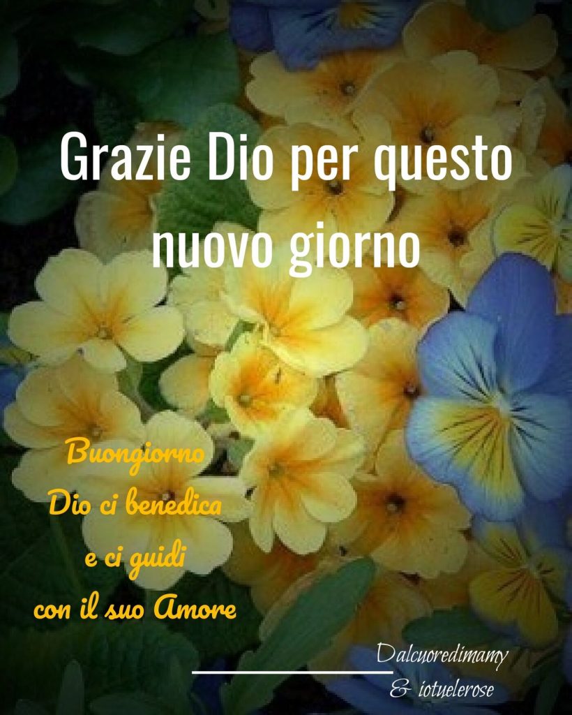 Grazie Dio per questo nuovo giorno. Buongiorno Dio ci benedica e ci guidi con il suo Amore.
