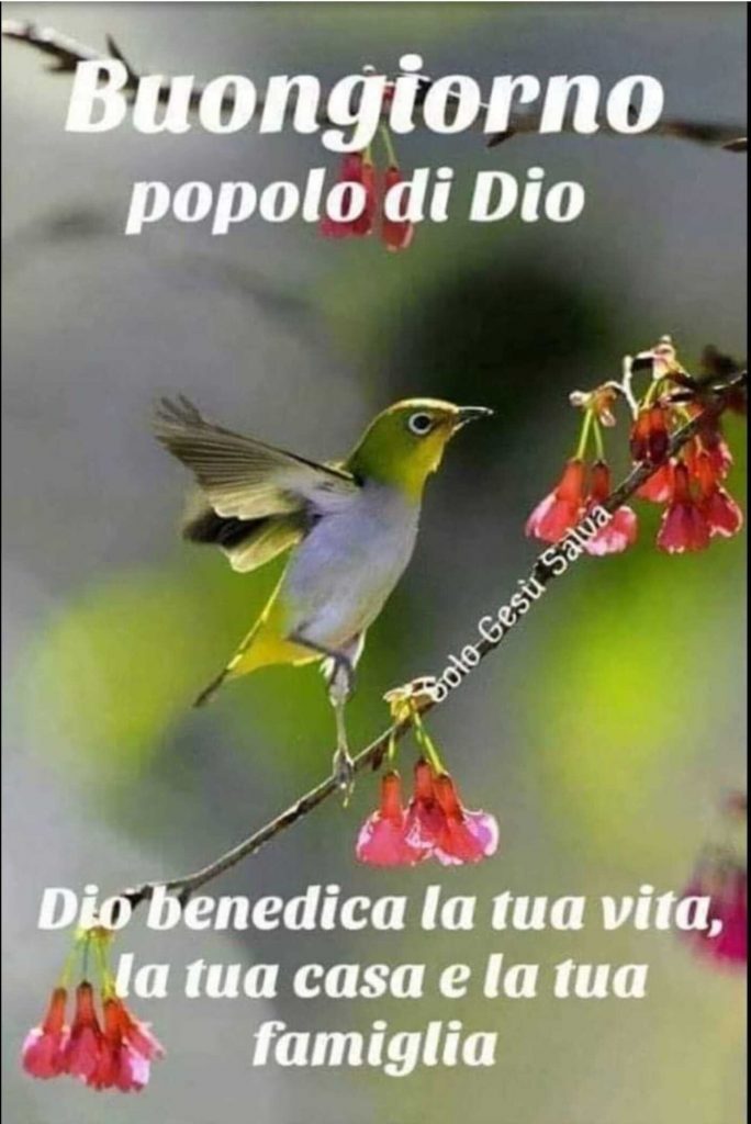 Buongiorno popolo di Dio. Dio benedica la tua vita, la tua casa e la tua famiglia