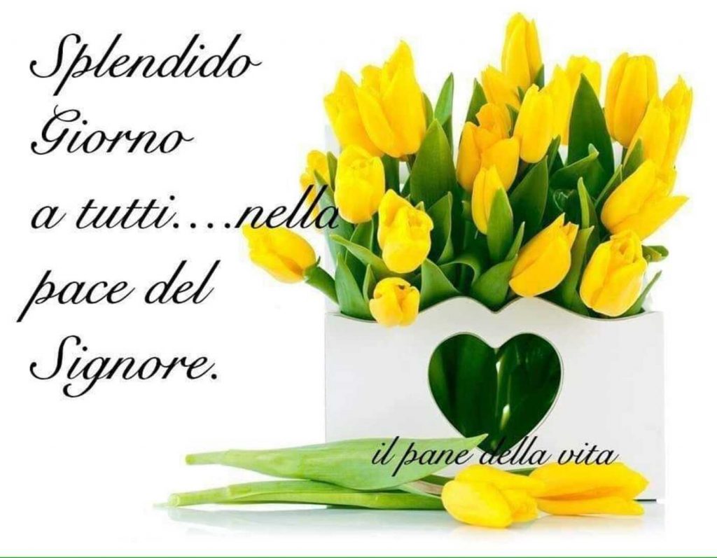 Splendido Giorno a tutti... nella pace del Signore