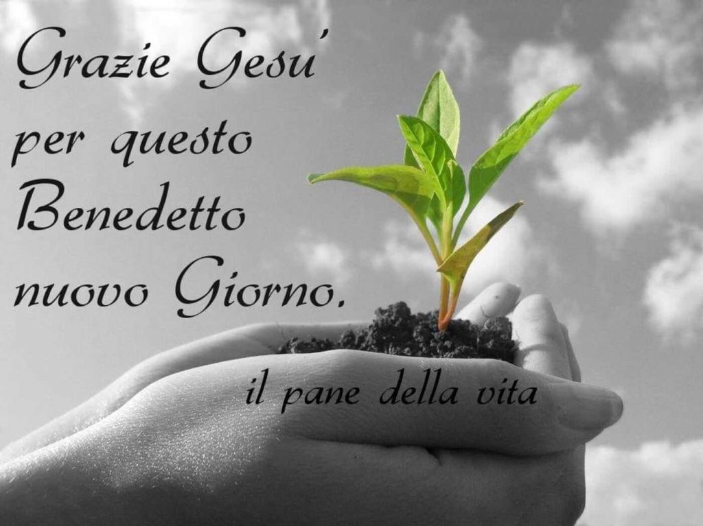 Grazie Gesù per questo Benedetto nuovo Giorno.