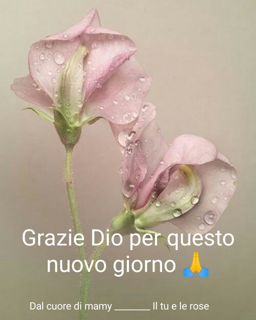Grazie Dio per questo nuovo giorno