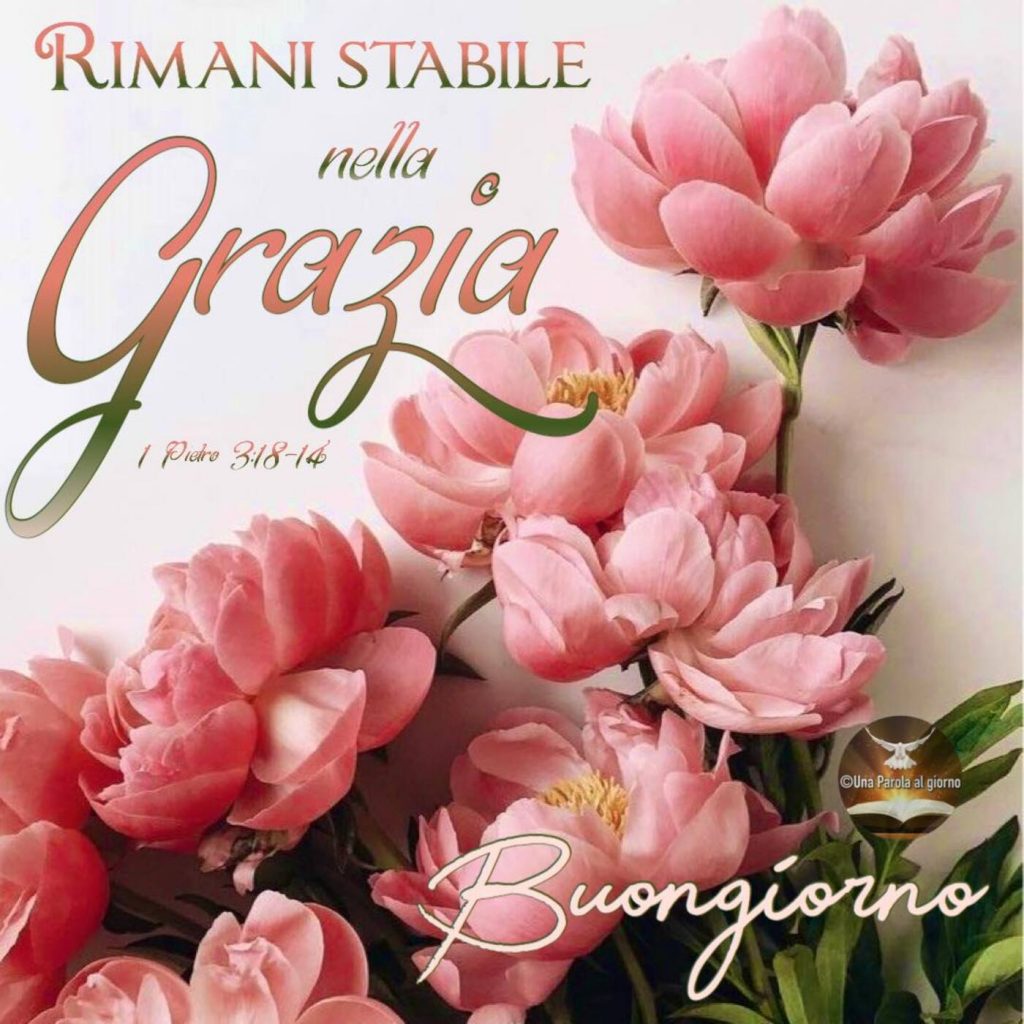 "Rimani stabile nella grazia." (1 Pietro 3:18-14) Buon giorno