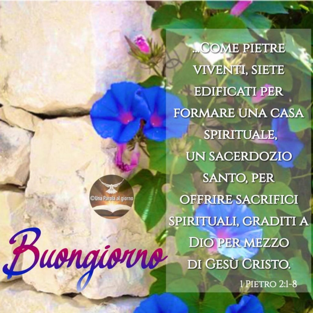 "Come pietre viventi, siete edificati per formare una casa spirituale, un sacerdozio santo, per offrire sacrifici spirituali, graditi a Dio per mezzo di Gesù Cristo." (1 Pietro 2:1-8) Buongiorno