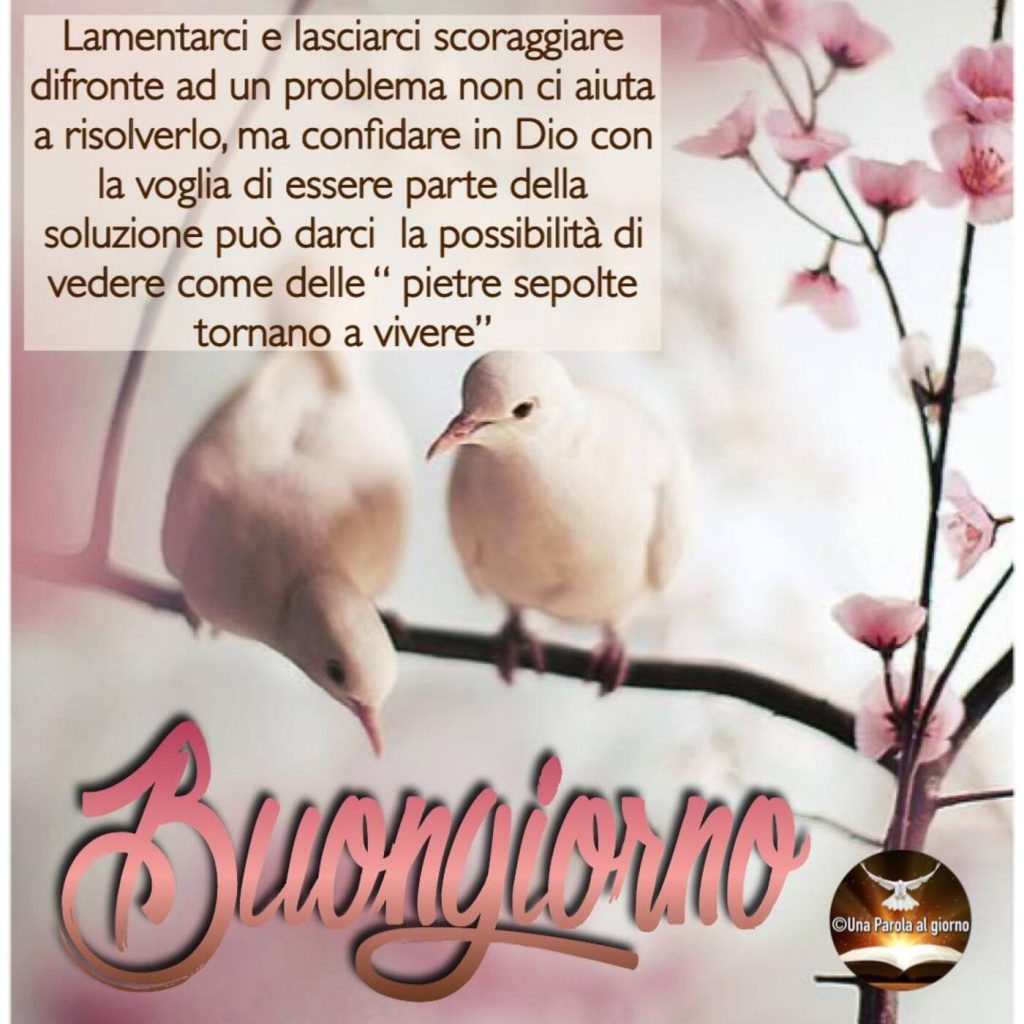Lamentarci e lasciarci scoraggiare di fronte ad un problema non ci aiuta a risolverlo, ma confidare in Dio con la voglia di essere parte della soluzione può darci la possibilità di vedere come delle "pietre sepolte tornino a vivere". Buongiorno