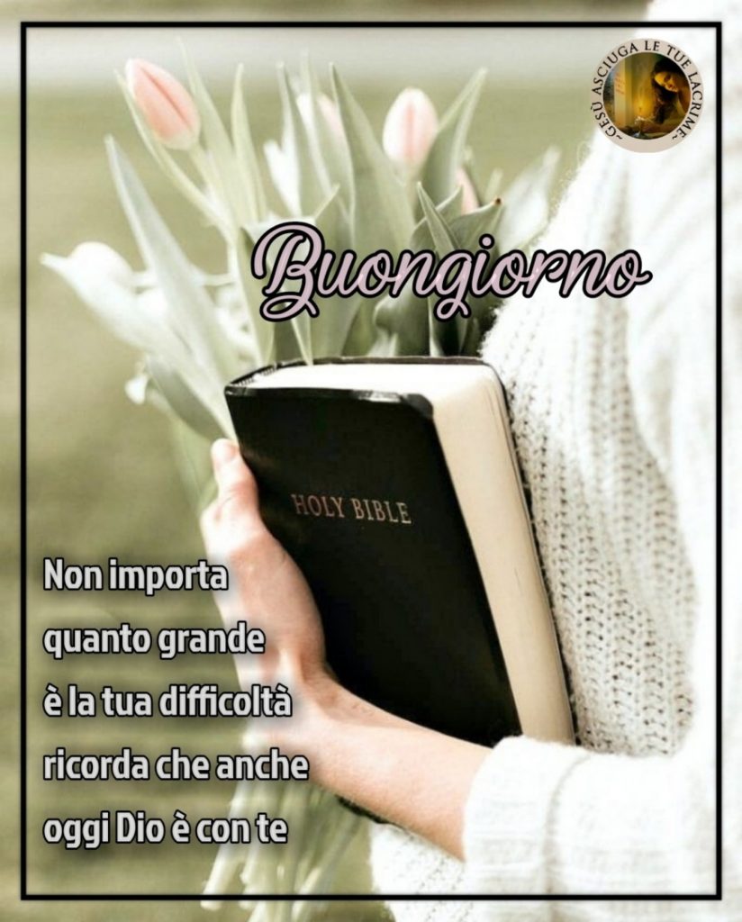 Buongiorno. Non importa quanto grande è la tua difficoltà, ricorda che anche oggi Dio è con te