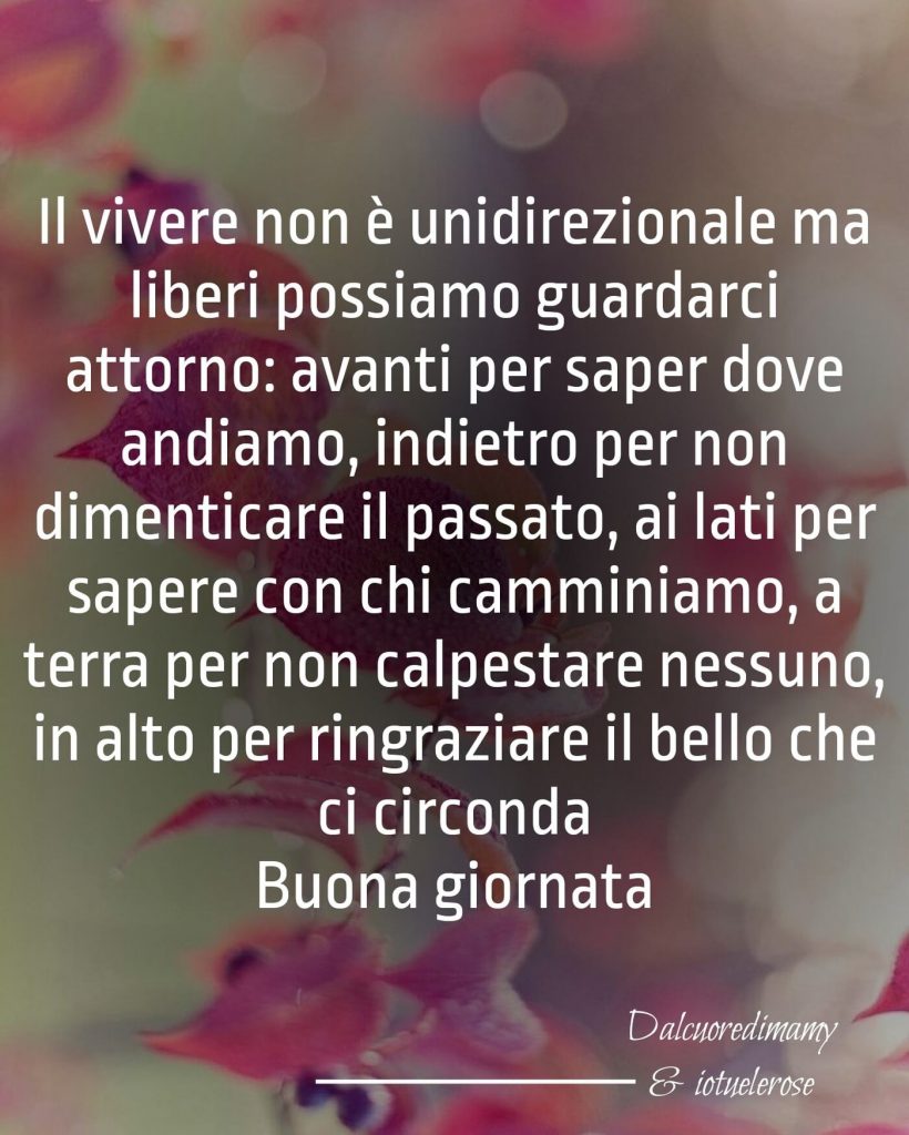 Il vivere non è unidirezionale ma liberi possiamo guardarci attorno: avanti per saper dove andiamo, indietro per non dimenticare il passato, ai lati per sapere con chi camminiamo, a terra per non calpestare nessuno... Buona Giornata