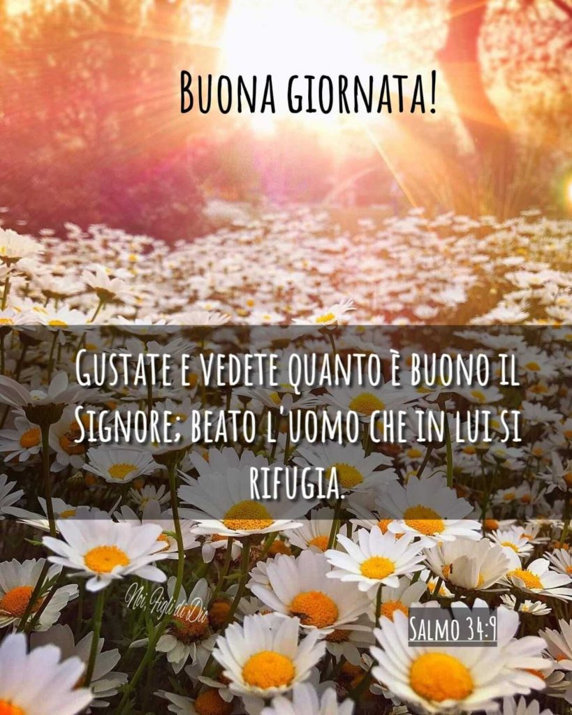 BUONA GIORNATA! "Gustate e vedete quanto è buono il Signore; beato l'uomo che il Lui si rifugia." (Salmo 34:9)
