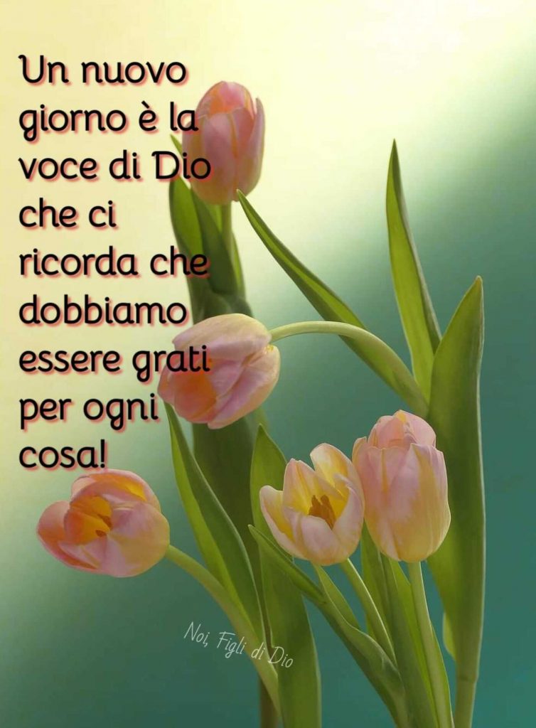Un nuovo giorno è la voce di Dio che ci ricorda che dobbiamo essere grati per ogni cosa!