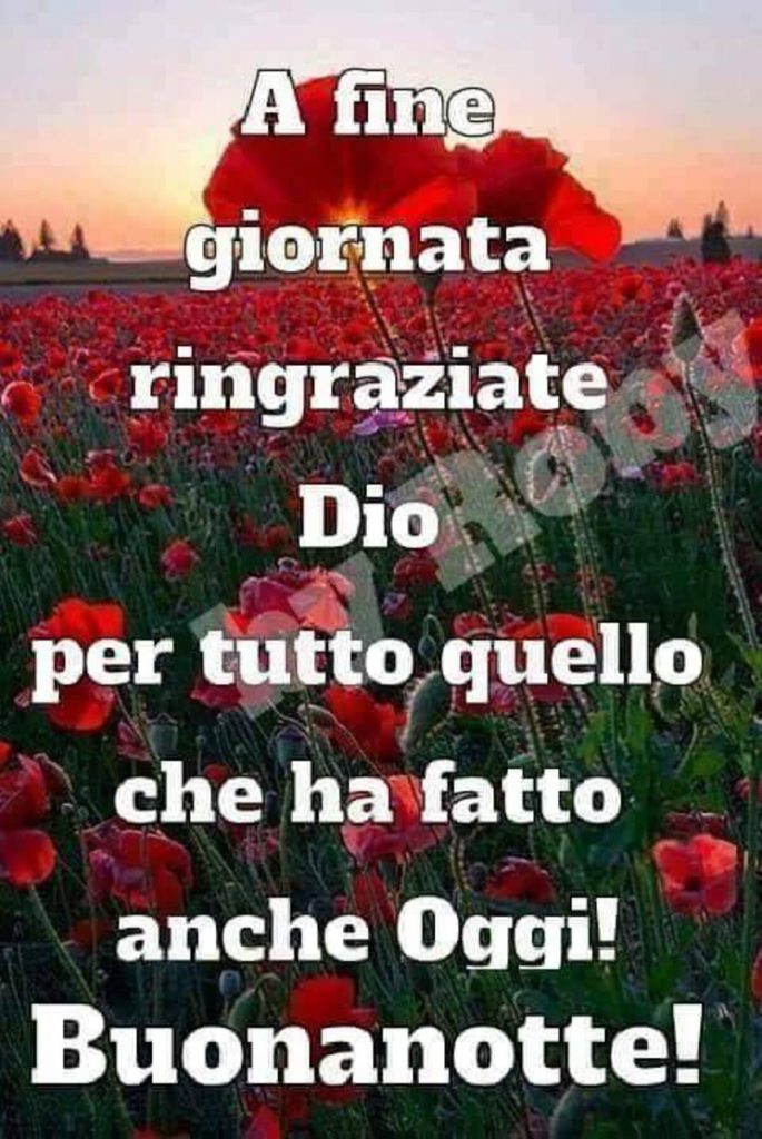 A fine giornata ringraziate Dio per tutto quello che ha fatto anche oggi! Buonanotte !