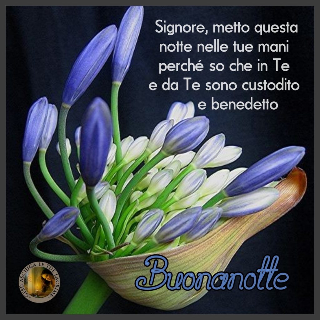 Signore, metto questa notte nelle Tue mani perché so che in Te e da Te sono custodito e benedetto. Buonanotte