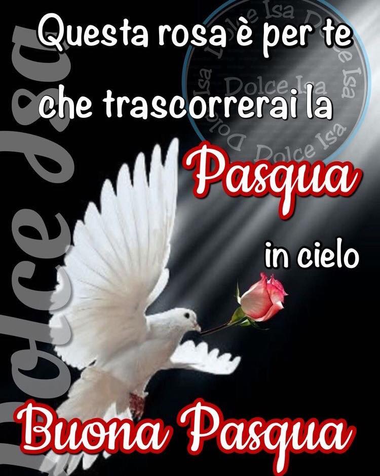 Questa rosa è per te che trascorrerai la Pasqua in cielo: Buona Pasqua (Dolce Isa)