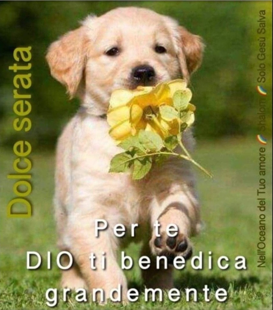 Dolce serata. Per te: Dio ti benedica grandemente