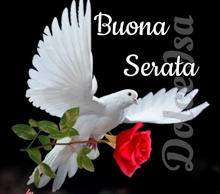 Buona serata