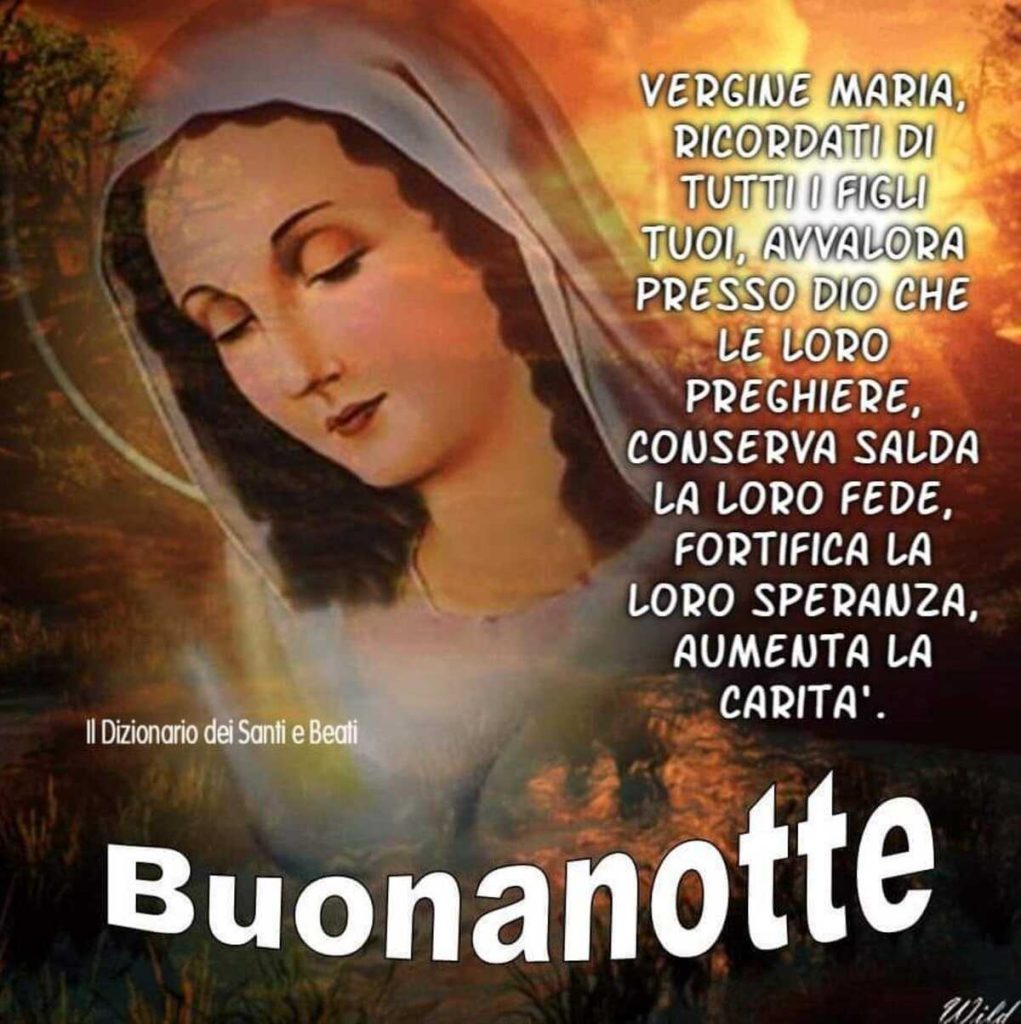 Buonanotte. Vergine Maria ricordati di tutti i figli tuoi, avvalora presso Dio che le loro preghiere, conserva salda la loro fede, fortifica la loro speranza, aumenta la carità.