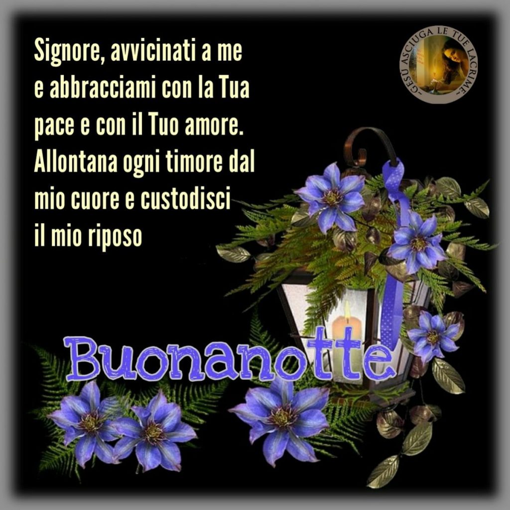 Signore, avvicinati a me e abbracciami con la Tua pace ed il Tuo amore. Allontana ogni timore dal mio cuore e custodisci il mio riposo. Buonanotte