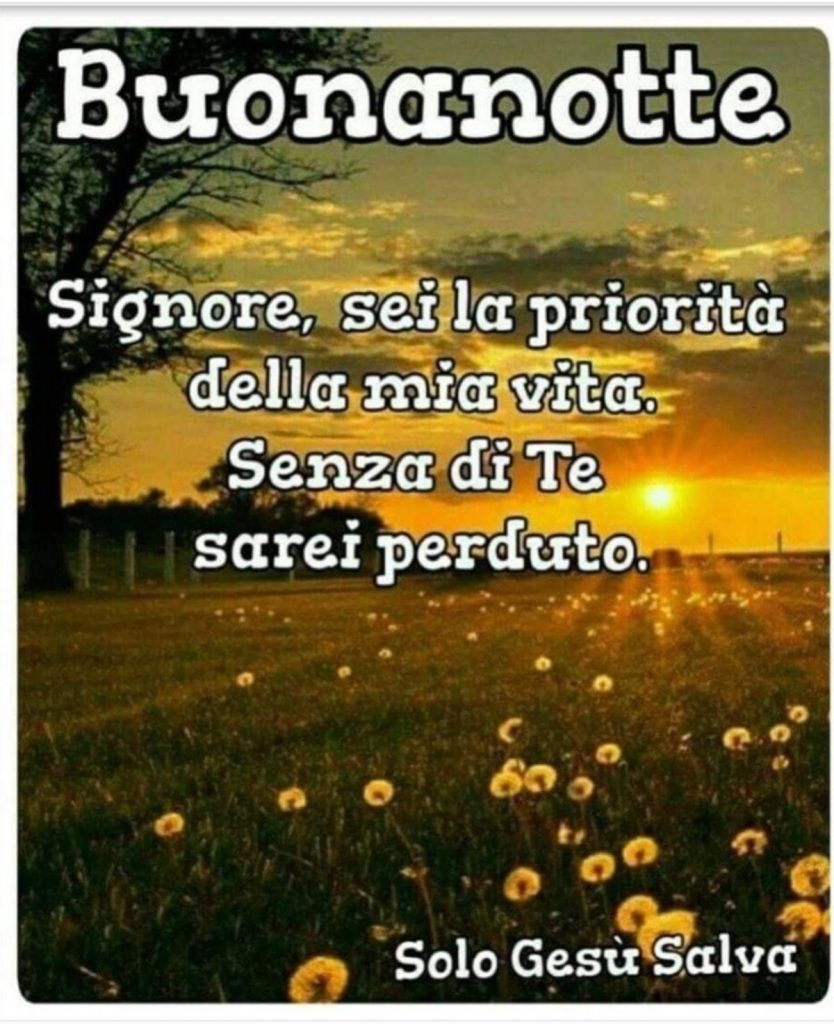 Buonanotte. Signore, sei la priorità della mia vita. Senza di Te sarei perduto.