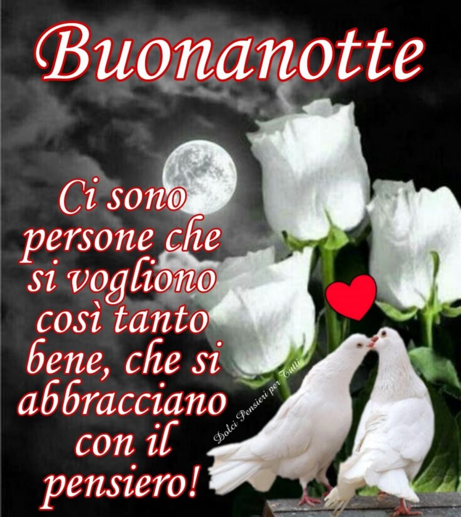 Buonanotte. Ci sono persone che si vogliono così tanto bene, che si abbracciano con il pensiero.