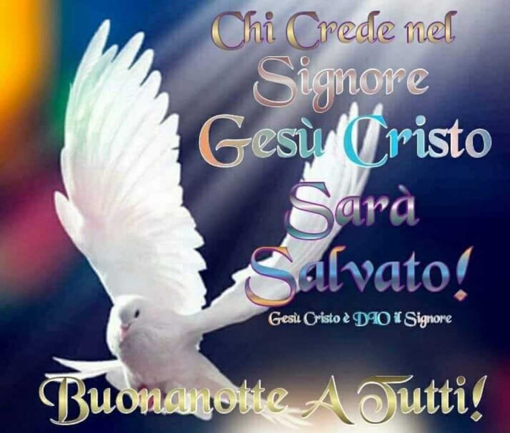 Chi crede nel Signore Gesù Cristo sarà salvato! Buonanotte a tutti!